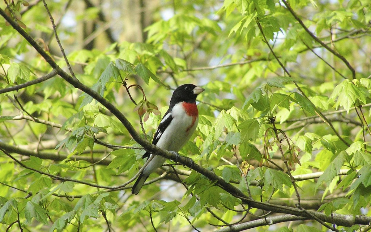 Ai sinh tháng Âm lịch này cuối năm 2022 đón tốt lành, ấm no Ai sinh thang Am lich nay cuoi nam 2022 don tot lanh, am no