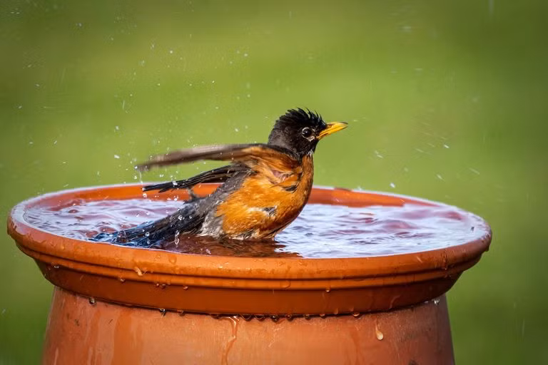 Ai sinh thang Am lich nay cuoi nam 2022 don tot lanh, am no-Hinh-4