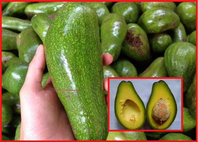 Meo chon mua bo deo ngon, qua nao cung ung y