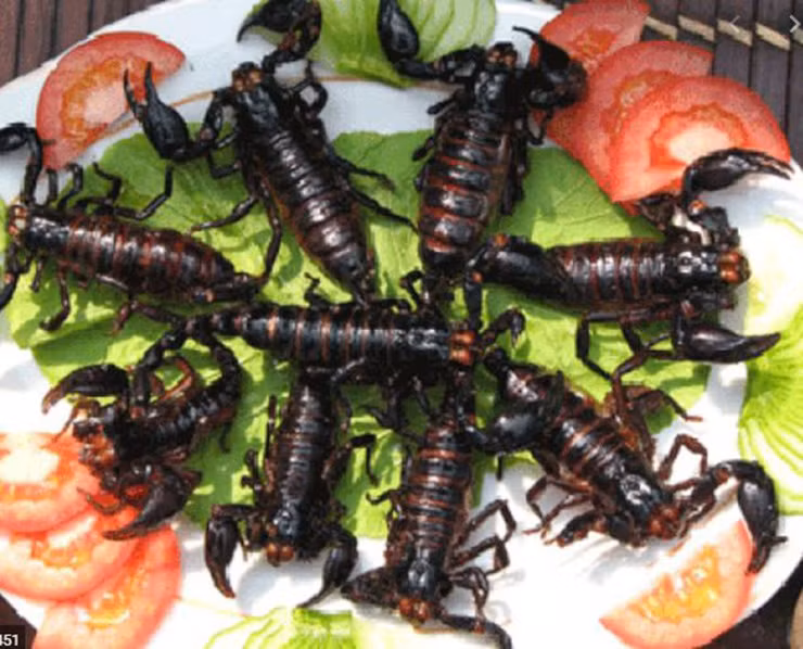 Nghề bắt bọ cạp mang lại nguồn thu nhập không hề nhỏ cho người dân trong những lúc nhàn rỗi