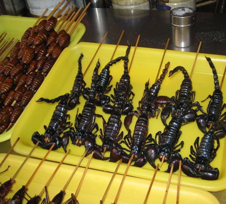 Bọ cạp núi được xem là món ngon đặc sản nổi tiếng. Từ nguyên liệu là bò cạp người ta có thể chế biến thành nhiều món ngon: như bọ cạp rang muối, bọ cạp xiên que nướng, bọ cạp xào sả ớt, bọ cạp sữa chiên, mỳ xào bọ cạp, bọ cạp chiên bơ…