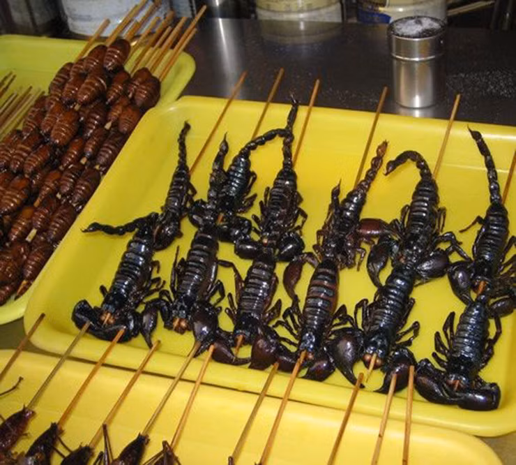 Bọ cạp núi được xem là món ngon đặc sản nổi tiếng. Từ nguyên liệu là bò cạp người ta có thể chế biến thành nhiều món ngon: như bọ cạp rang muối, bọ cạp xiên que nướng, bọ cạp xào sả ớt, bọ cạp sữa chiên, mỳ xào bọ cạp, bọ cạp chiên bơ…