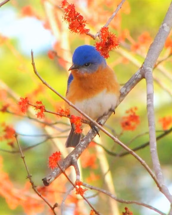 Sinh thang Am lich nay cang trung thuc cang nhieu quy nhan