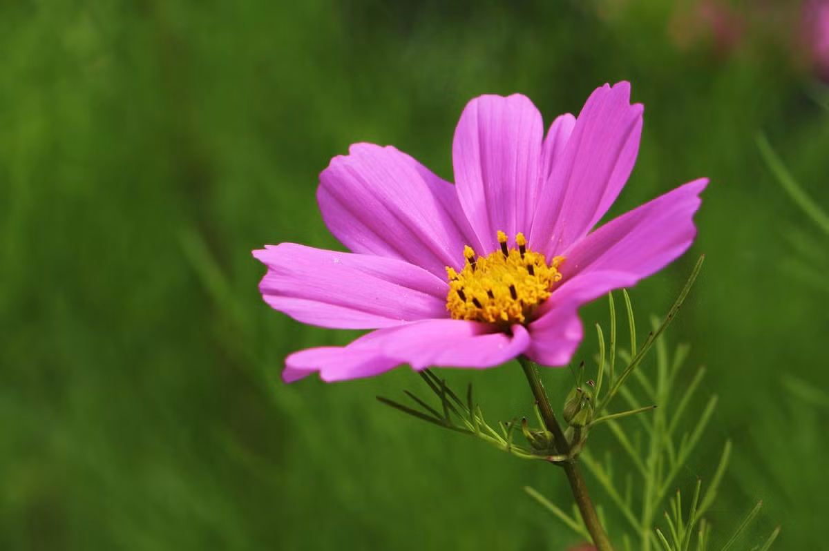 Tu ngay 19/12, 3 con giap tai loc no ro, phu quy day tay-Hinh-3