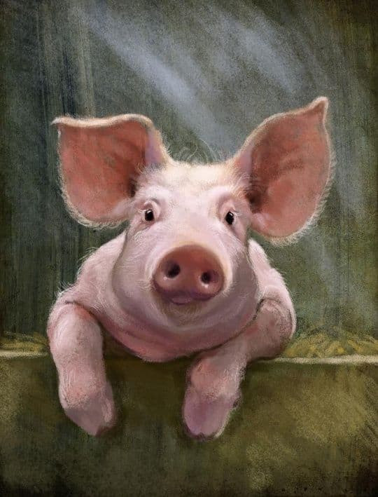  Tuổi Hợi. Hợi vốn nói ít, làm nhiều. Con giáp này cũng không giỏi thể hiện quan điểm của bản thân nên dễ bị hiểu lầm. Thời gian gần đây, con giáp này chịu ảnh hưởng của hai sao hung tinh nên buồn nhiều, vui ít.