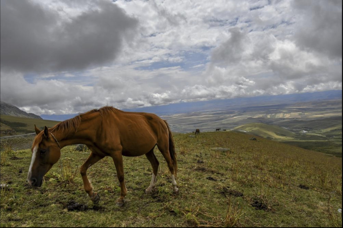 Kyrgyzstan trong mùa lên men sữa ngựa - Hình 11 Kyrgyzstan trong mua len men sua ngua-Hinh-11