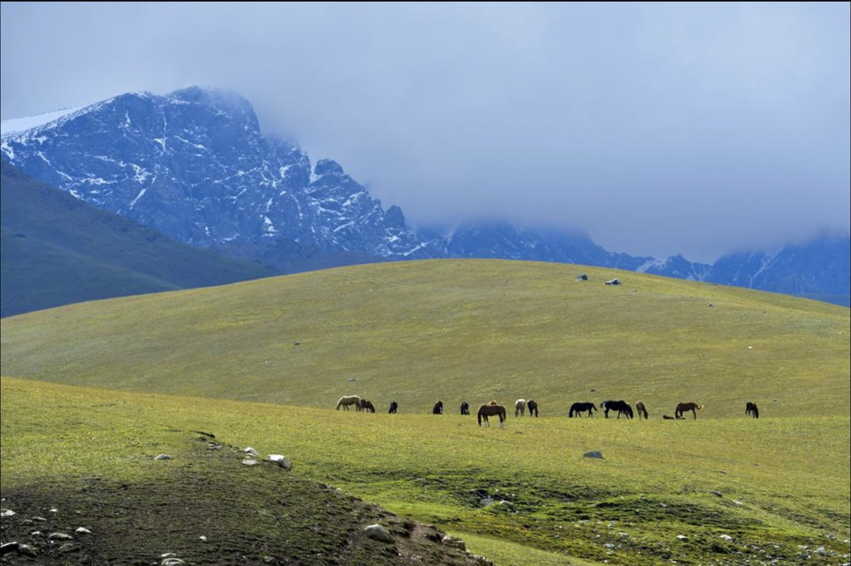 Kyrgyzstan trong mùa lên men sữa ngựa - Hình 2 Kyrgyzstan trong mua len men sua ngua-Hinh-2