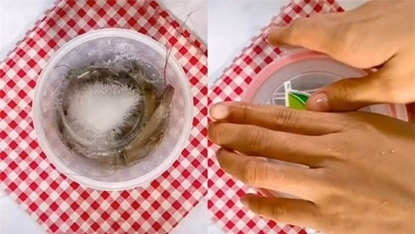 Bao quan tom dung cho ngay vao ngan da, khong mat chat-Hinh-2