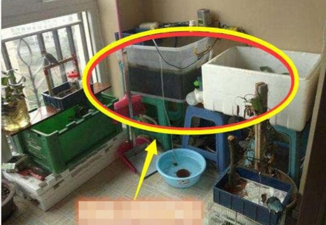 Đừng đặt đồ bừa bãi ở chỗ này, nhà giàu cũng trở nên nghèo - Hình 3 Dung dat do bua bai o cho nay, nha giau cung tro nen ngheo-Hinh-3