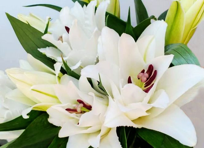 Từ 5/12, 3 con giáp vận may cao ngất, sự nghiệp phất không ngừng - Hình 2 Tu 5/12, 3 con giap van may cao ngat, su nghiep phat khong ngung-Hinh-2