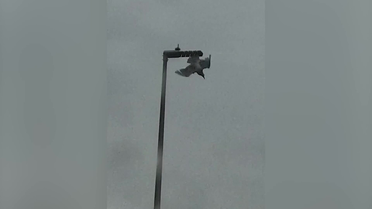 Mong bien bi mac ket trong den duong