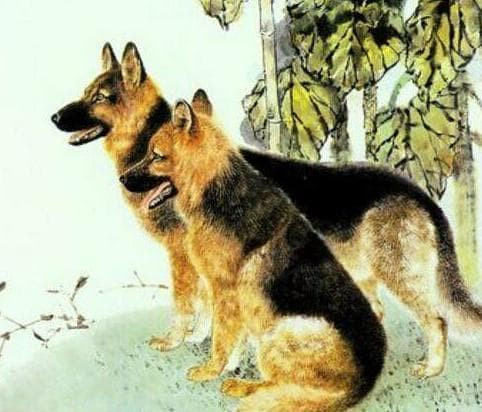 br/> Suốt tháng 11 âm lịch, họ đã chịu bao vất vả, đến tháng 12 âm lịch, họ có thể bay vút lên trời và trổ tài, cũng sẽ là thời khắc họ lại tỏa sáng, cho phép mọi người nhìn thấy lợi thế riêng của họ.