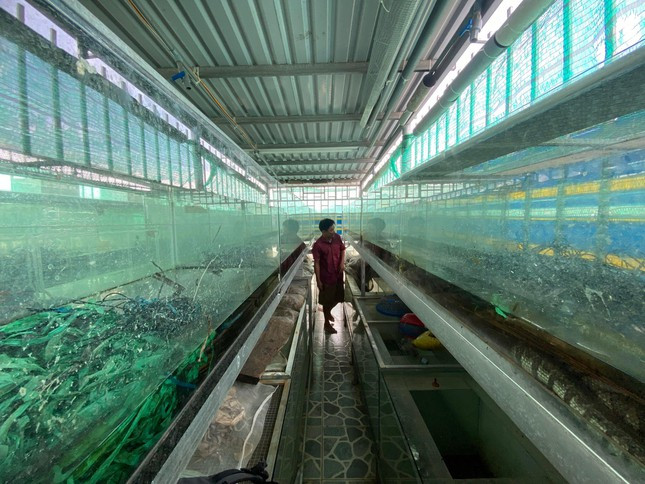 Cho ran o nha lau, anh nong dan thu tram trieu moi nam-Hinh-4