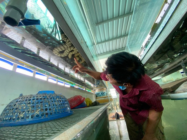 Cho ran o nha lau, anh nong dan thu tram trieu moi nam-Hinh-2