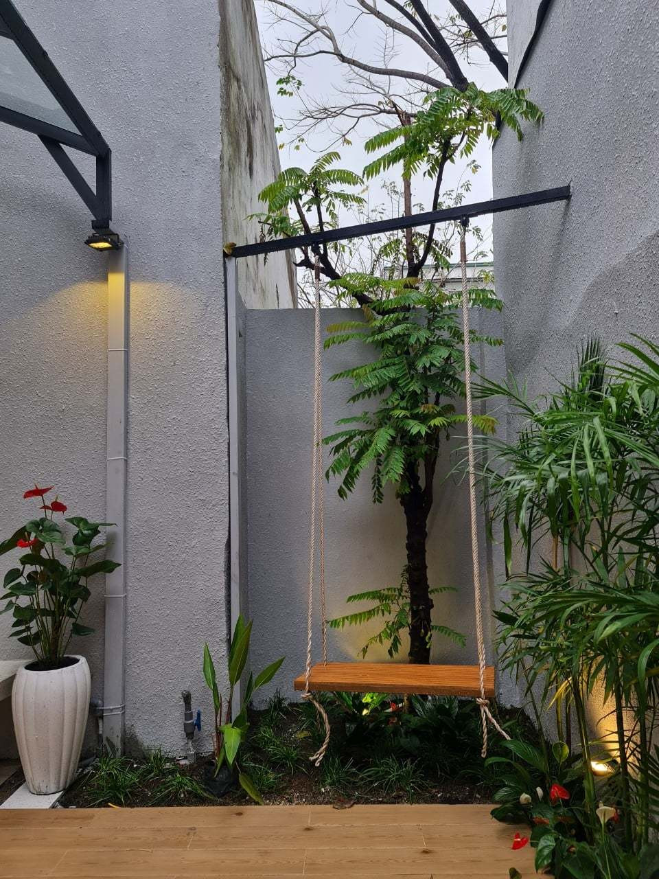 'Ao' nuoi ca, trong hoa sung tren san thuong ngoi nha pho-Hinh-49