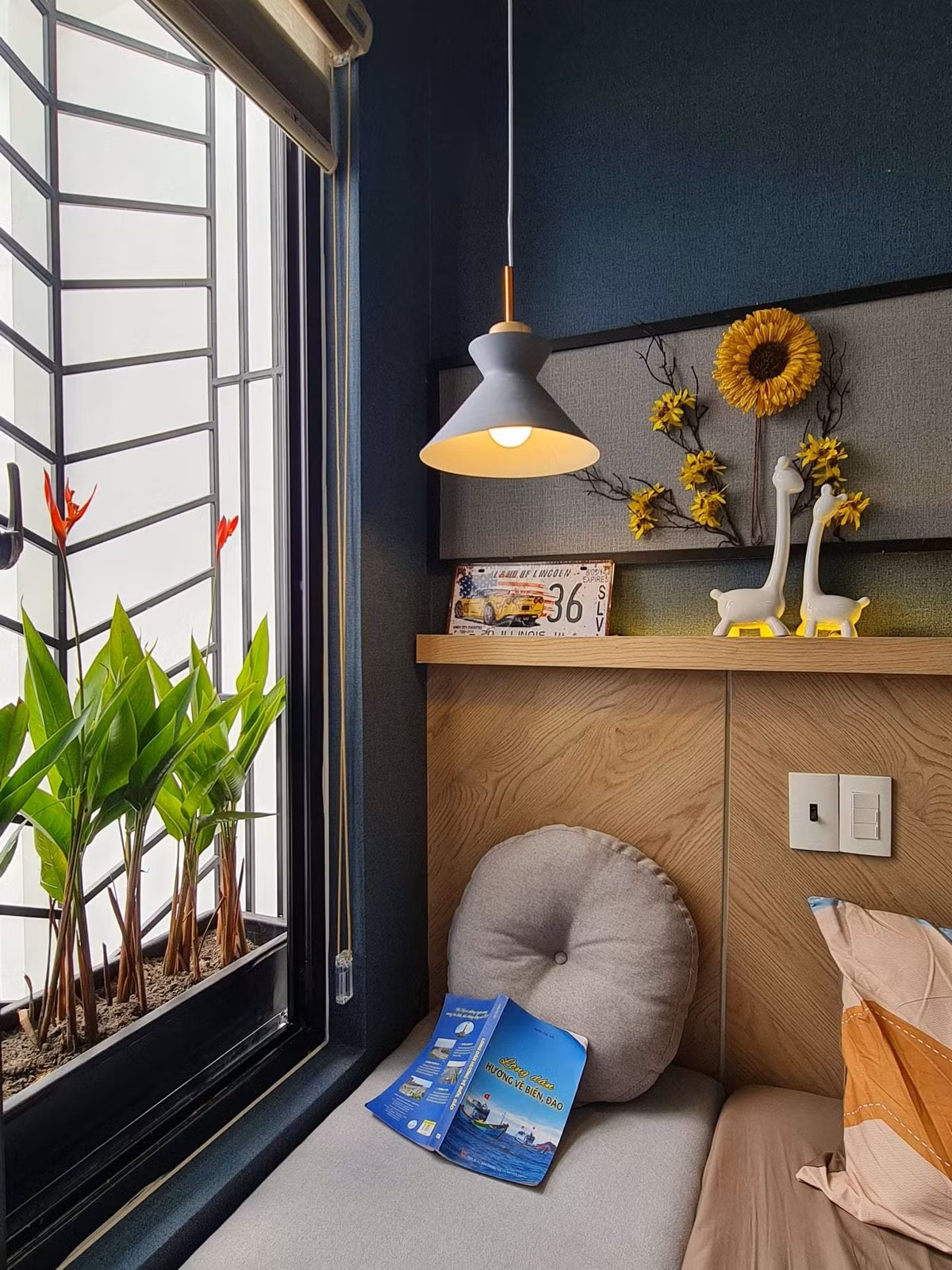 'Ao' nuoi ca, trong hoa sung tren san thuong ngoi nha pho-Hinh-37