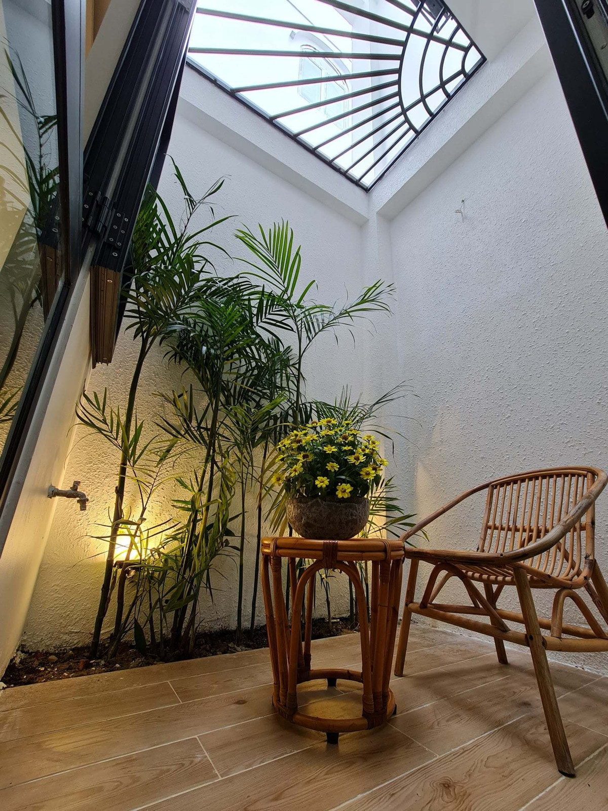 'Ao' nuoi ca, trong hoa sung tren san thuong ngoi nha pho-Hinh-28