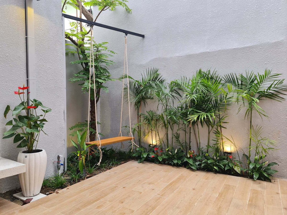 'Ao' nuoi ca, trong hoa sung tren san thuong ngoi nha pho-Hinh-40