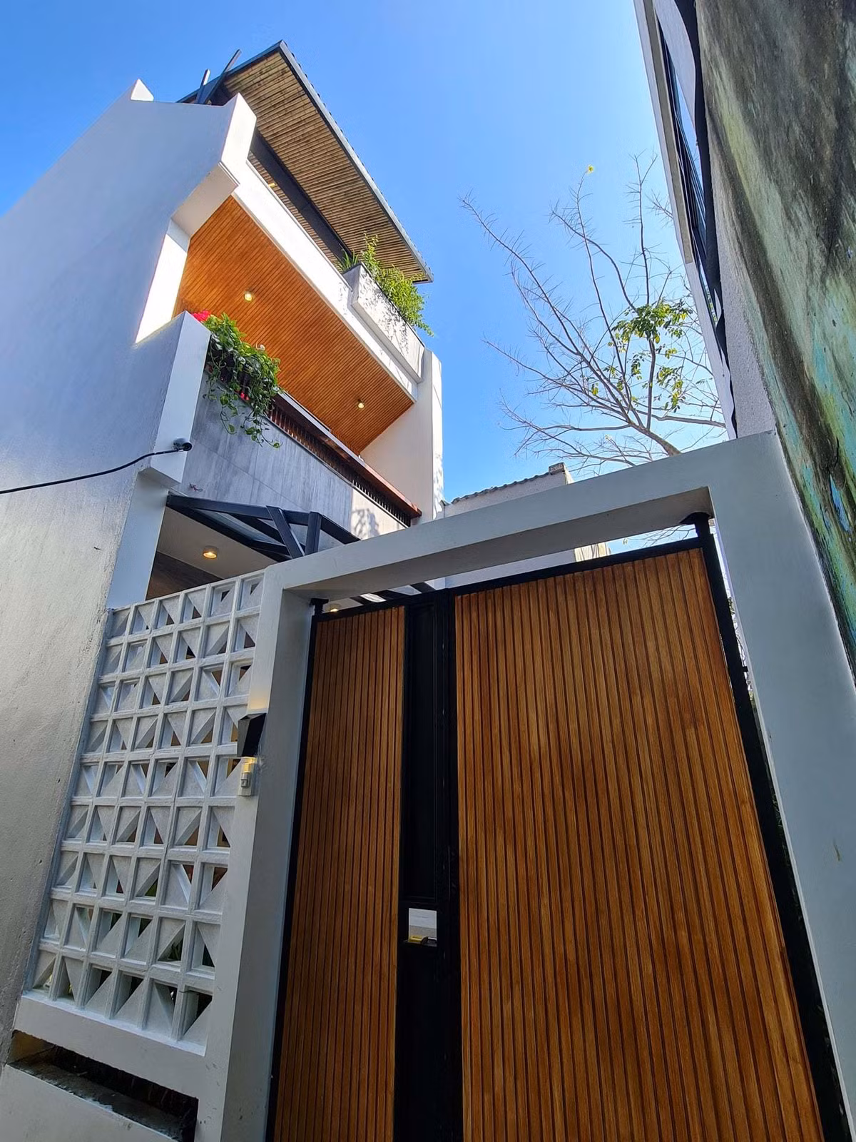 'Ao' nuoi ca, trong hoa sung tren san thuong ngoi nha pho-Hinh-2