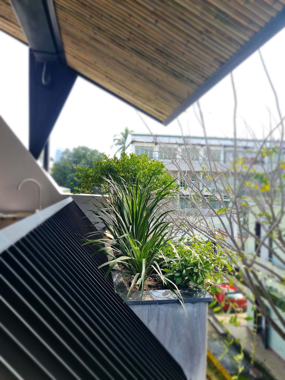 'Ao' nuoi ca, trong hoa sung tren san thuong ngoi nha pho-Hinh-24