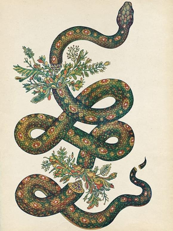 Tuổi Tỵ. Tài vận của tuổi Tỵ được cải thiện đáng kể trong thời gian từ giờ đến giữa năm 2022 nhờ Ngọc Hoàng "mở sổ vàng". Thậm chí, có người còn bất ngờ giàu có sau một đêm, chỉ cần biết nắm bắt thời cơ.