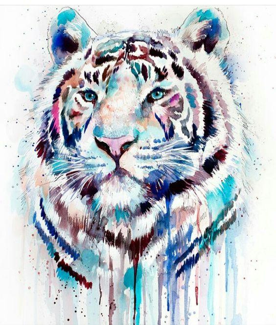 Nhưng theo tử vi 7 ngày tới (7/6 - 13/6), vận mệnh tuổi Dần sẽ thay đổi đáng kể, vận may bắt đầu tan chảy và chạy đến tuổi Dần với tốc độ chóng mặt.