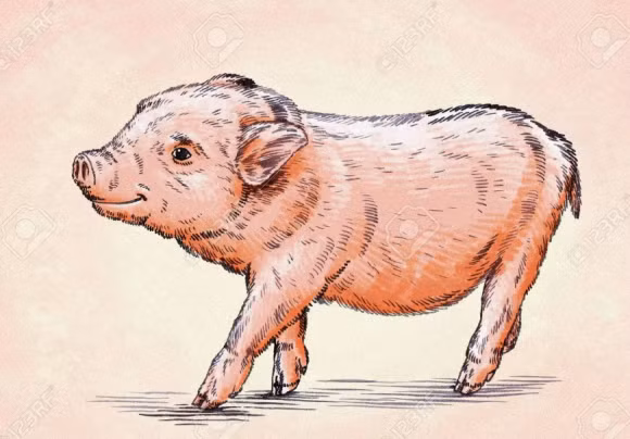 Tuổi Hợi. Hợi tính cách mạnh mẽ, bản lĩnh phi thường, khí chất hào sảng. Dù không có xuất phát điểm tốt nhưng lại rất nỗ lực làm lụng đổi đời. Con giáp này sẵn sàng đổ mồ hôi sôi nước mắt để làm việc kiếm tiền.