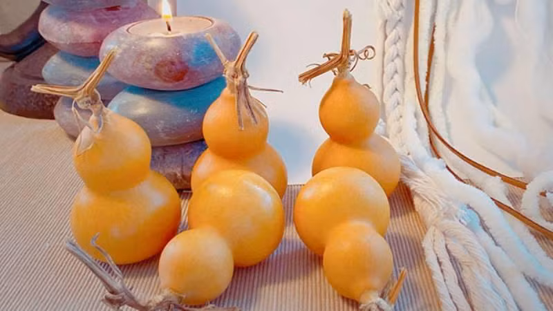 Thay phong thuy mach vi tri treo ho lo giup gia van binh an-Hinh-2