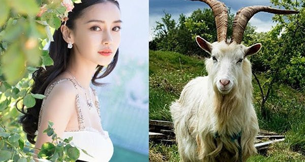 3 tuổi là cỗ máy in tiền năm 2023: Thích giả nghèo nhưng giàu sụ 3 tuoi la co may in tien nam 2023: Thich gia ngheo nhung giau su