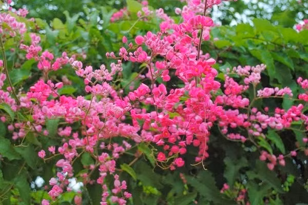 Nua sau thang 8, 3 con giap phuc khi tran day, tien bac den tay