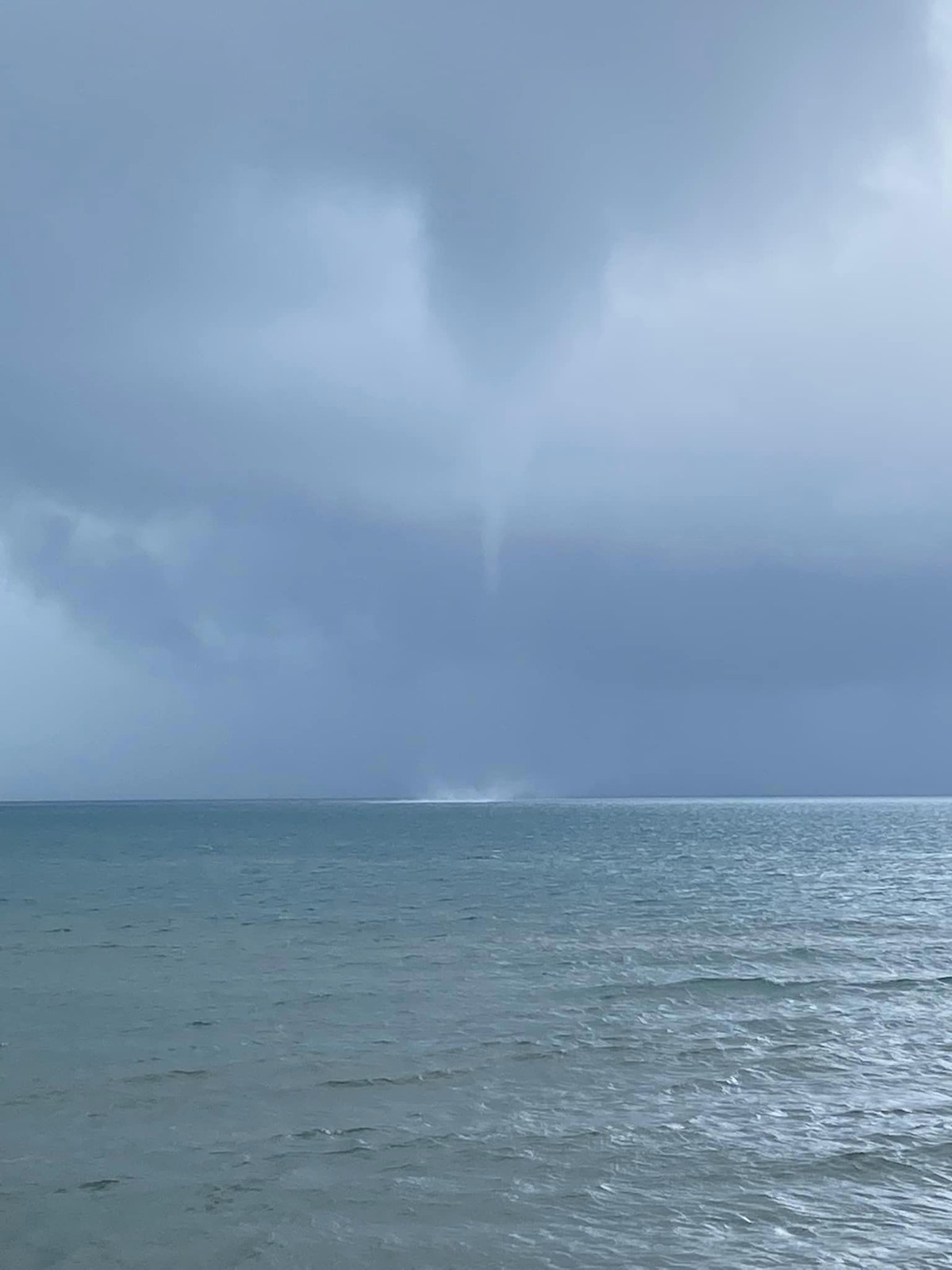 Voi rong bat ngo xuat hien o Phu Quoc, du khach so hai-Hinh-2