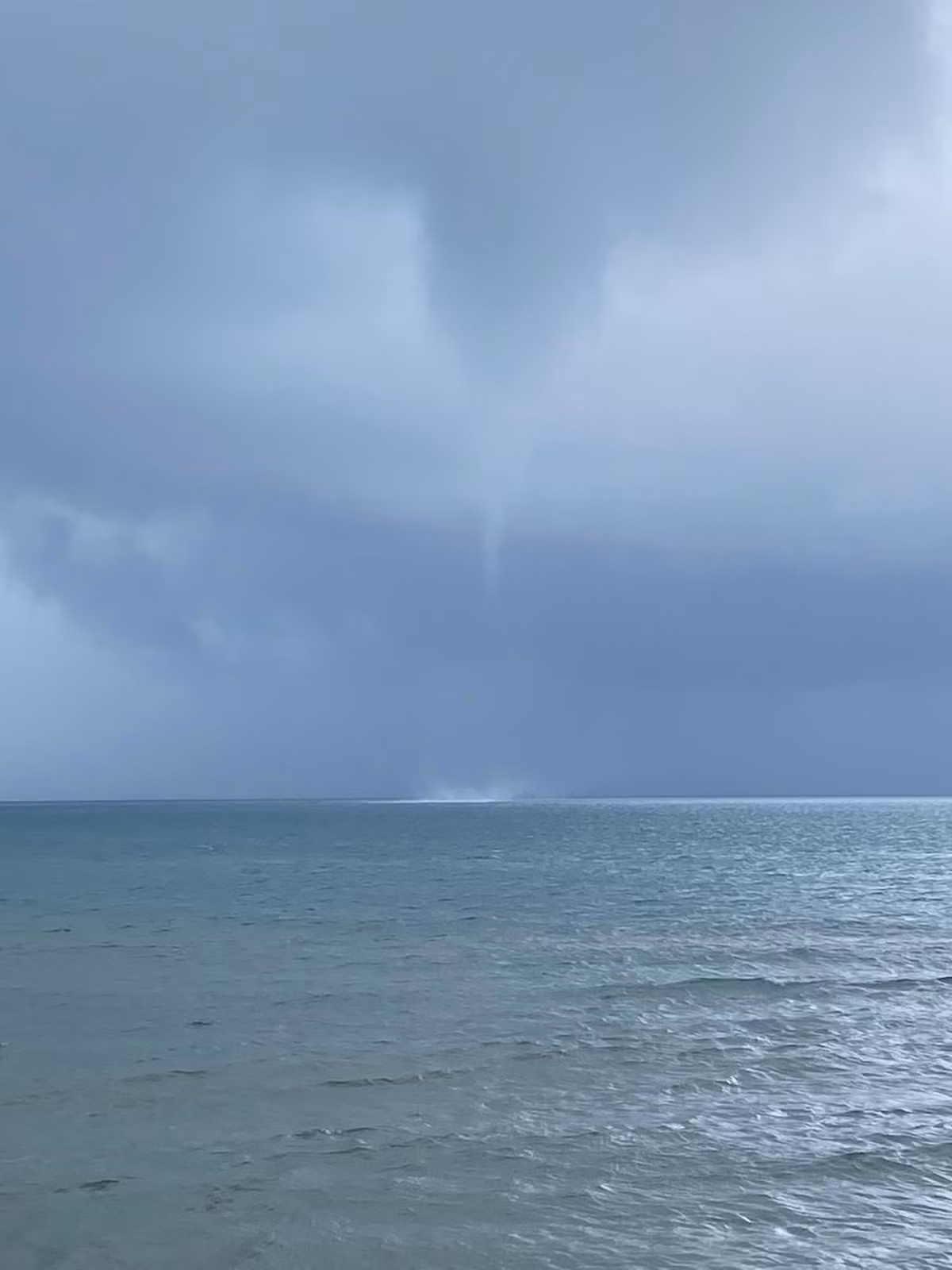 Voi rong bat ngo xuat hien o Phu Quoc, du khach so hai-Hinh-2