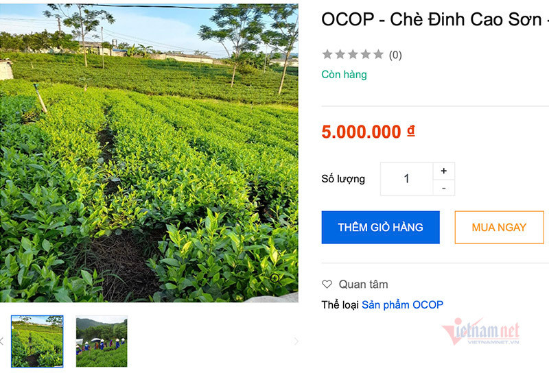 Nam trieu dong/kg che Thai Nguyen, hang hiem tren san online