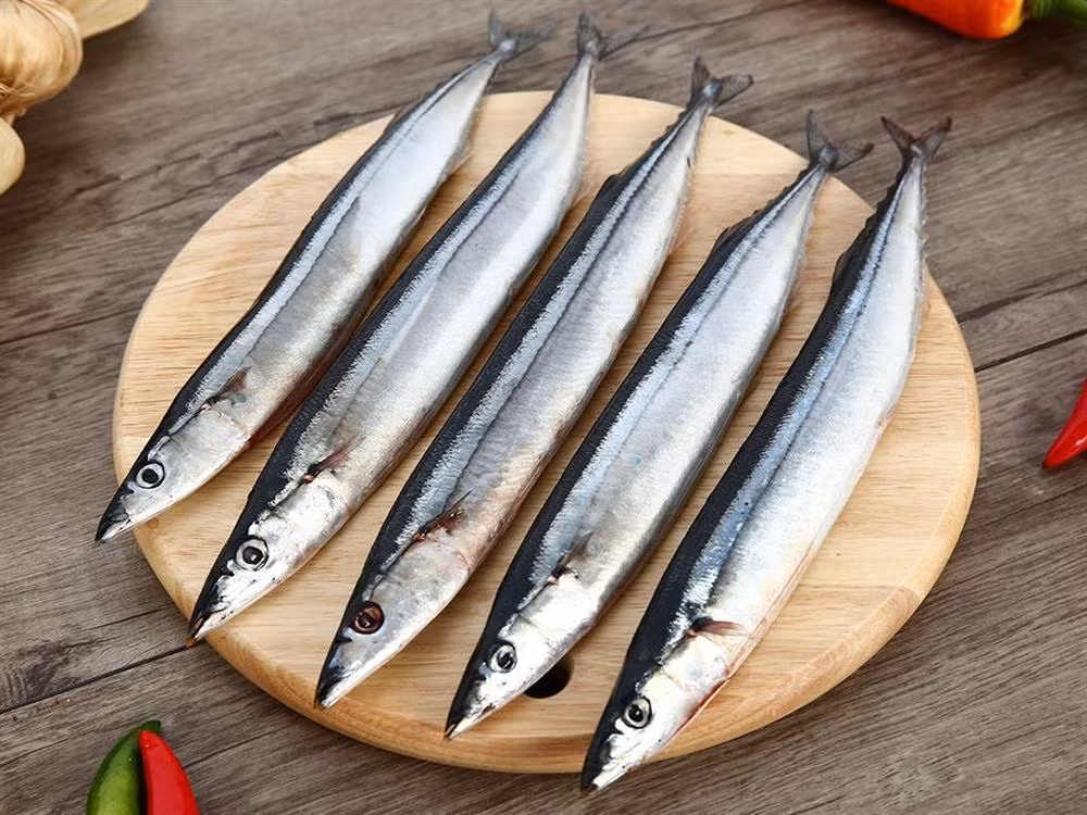 5 loai ca vua bo lai khong nuoi cong nghiep-Hinh-2