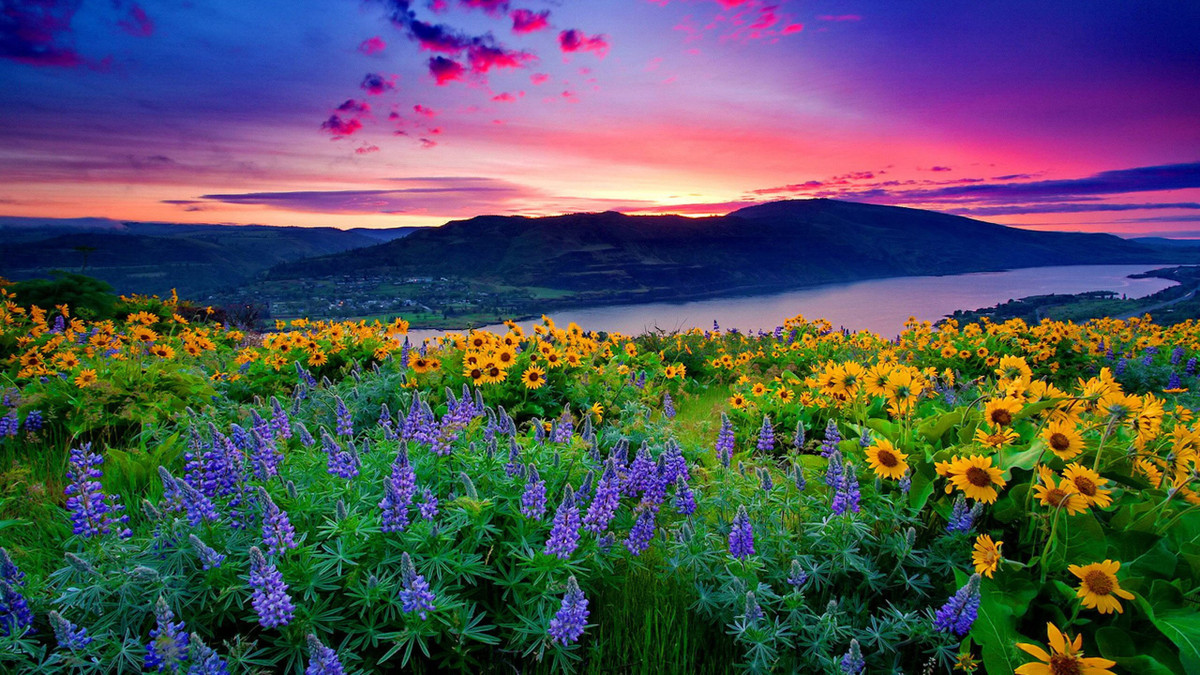 Tháng 8 Âm lịch. Những người sinh vào tháng 8 Âm lịch có tính cách mạnh mẽ, kiên định và nhiệt huyết với việc mà mình làm. Đối với mục tiêu trong cuộc sống, những người này luôn mang trong mình ý chí phấn đấu không ngừng, bất kể họ xuất thân trong hoàn cảnh thế nào, họ vẫn luôn tự nhủ phải nỗ lực và cố gắng hết mình để tìm kiếm cơ hội đổi đời đổi vận.