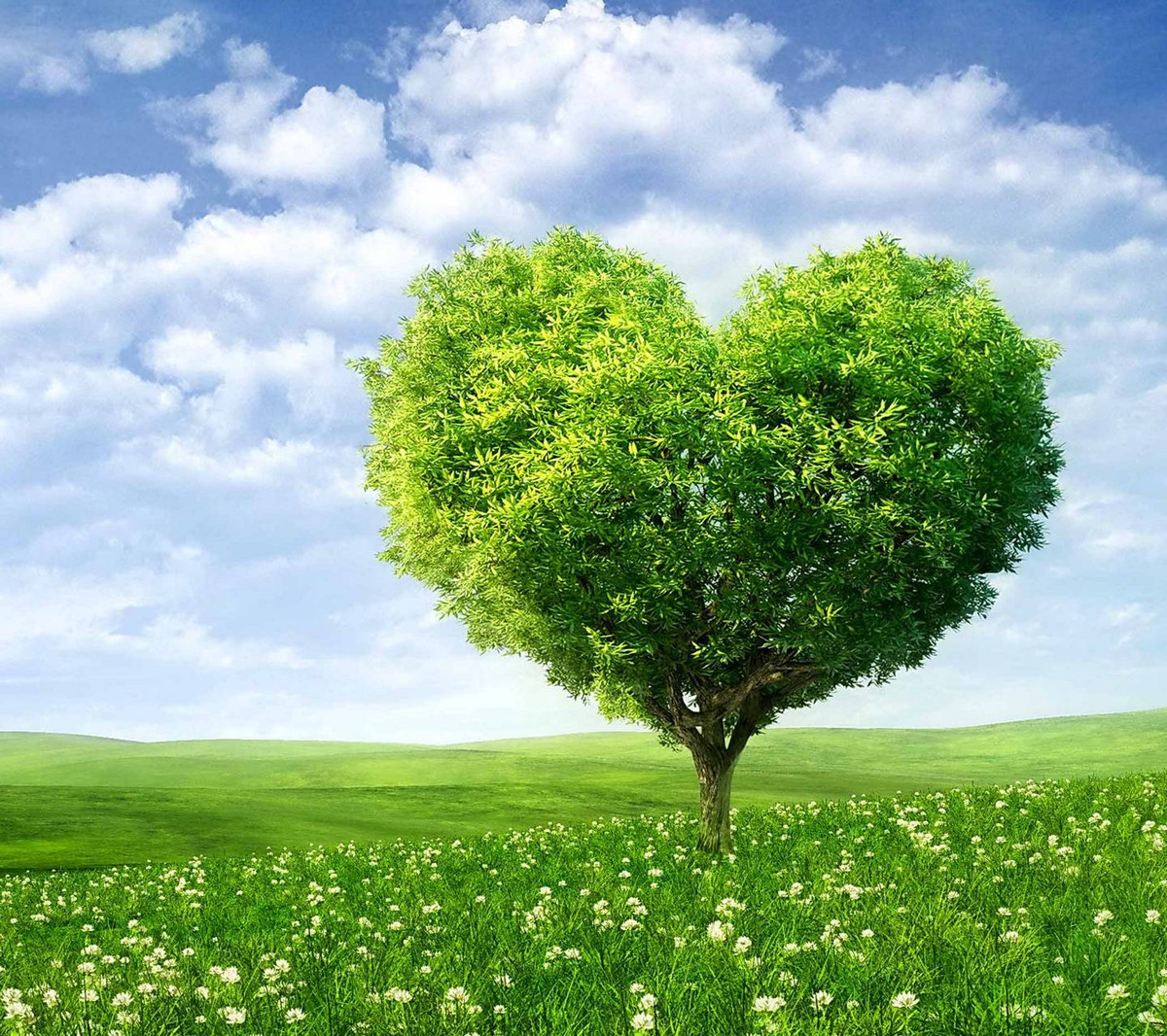 Họ thông minh, tài giỏi, và biết nắm bắt cơ hội nên cũng dễ dàng gặt hái được thành công ngoài mong đời.