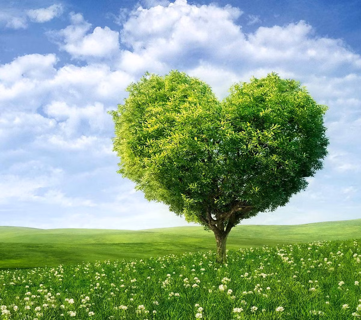 Họ thông minh, tài giỏi, và biết nắm bắt cơ hội nên cũng dễ dàng gặt hái được thành công ngoài mong đời.