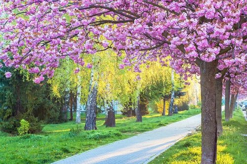 Năm 2022 này, cuộc sống tuy có nhiều chênh vênh, nhưng họ luôn tin rằng mọi thất bại đều là bài học để mình ngày càng mạnh mẽ hơn. Một khi thời cơ đến, họ sẽ biết nắm bắt và vượt qua một cách ngoạn mực.