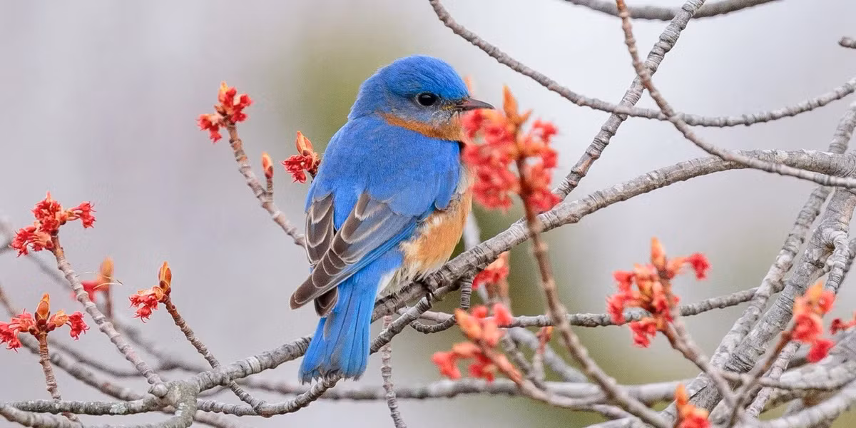 Người sinh ngày Âm lịch này dồn sức cho sự nghiệp, tương lai thành công Nguoi sinh ngay Am lich nay don suc cho su nghiep, tuong lai thanh cong