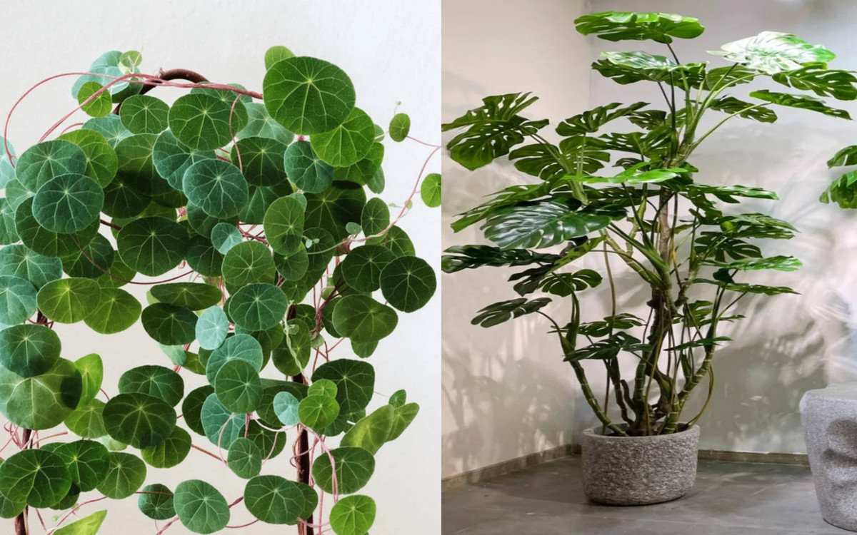 Sau nghi le, 4 con giap phat nhanh nhu Rong, tien ve toi tap-Hinh-2