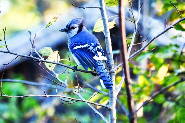 Sau nghi le, 4 con giap phat nhanh nhu Rong, tien ve toi tap-Hinh-3