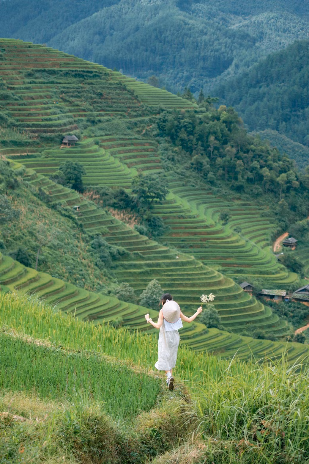 Kham pha Mu Cang Chai mua lua chin-Hinh-2