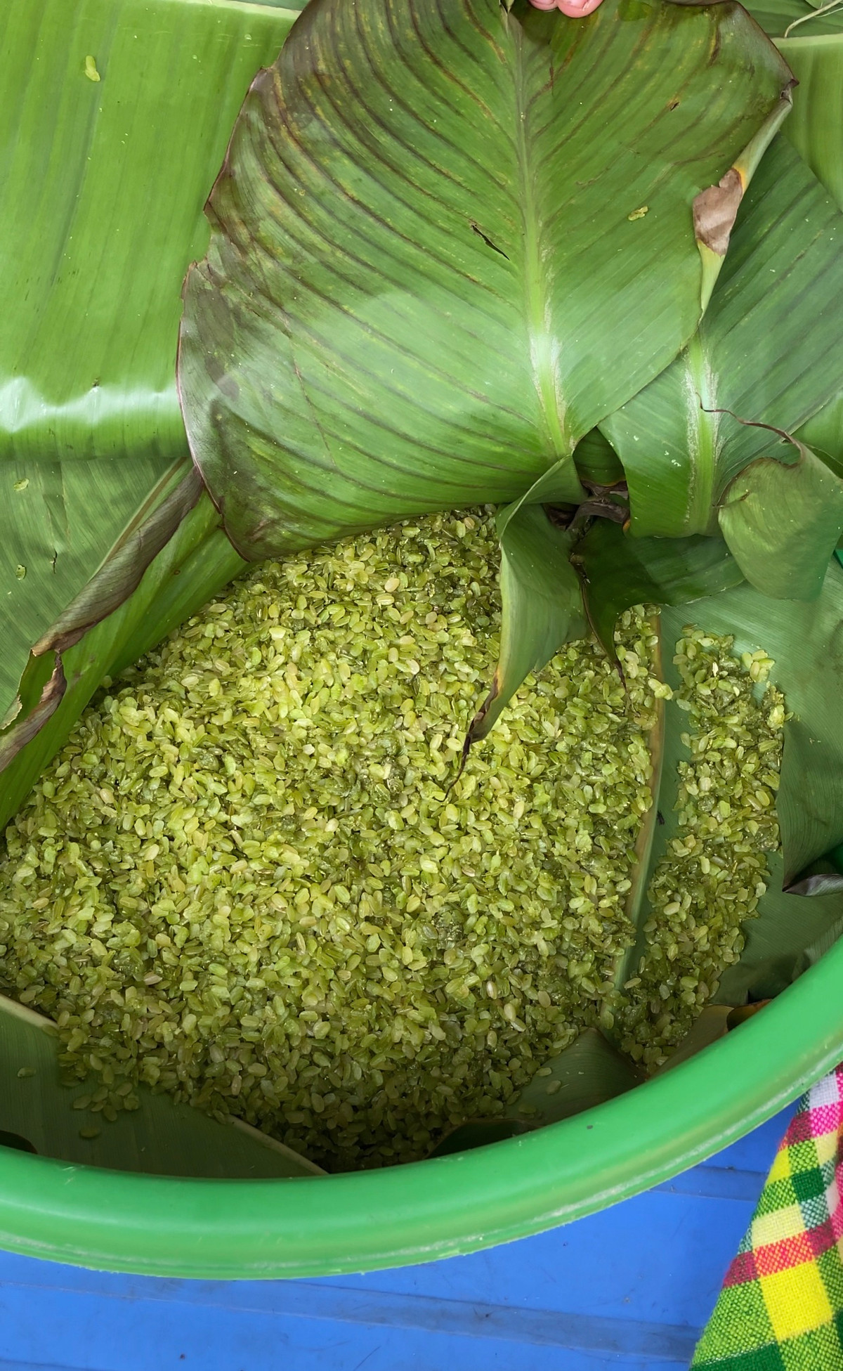 Kham pha Mu Cang Chai mua lua chin-Hinh-12