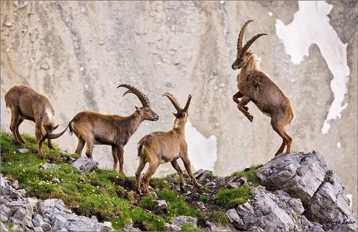 Chấm hết vận xui: Cuối tháng 10 âm, 3 con giáp bừng sáng tài lộc - Hình 3 Cham het van xui: Cuoi thang 10 am, 3 con giap bung sang tai loc-Hinh-3