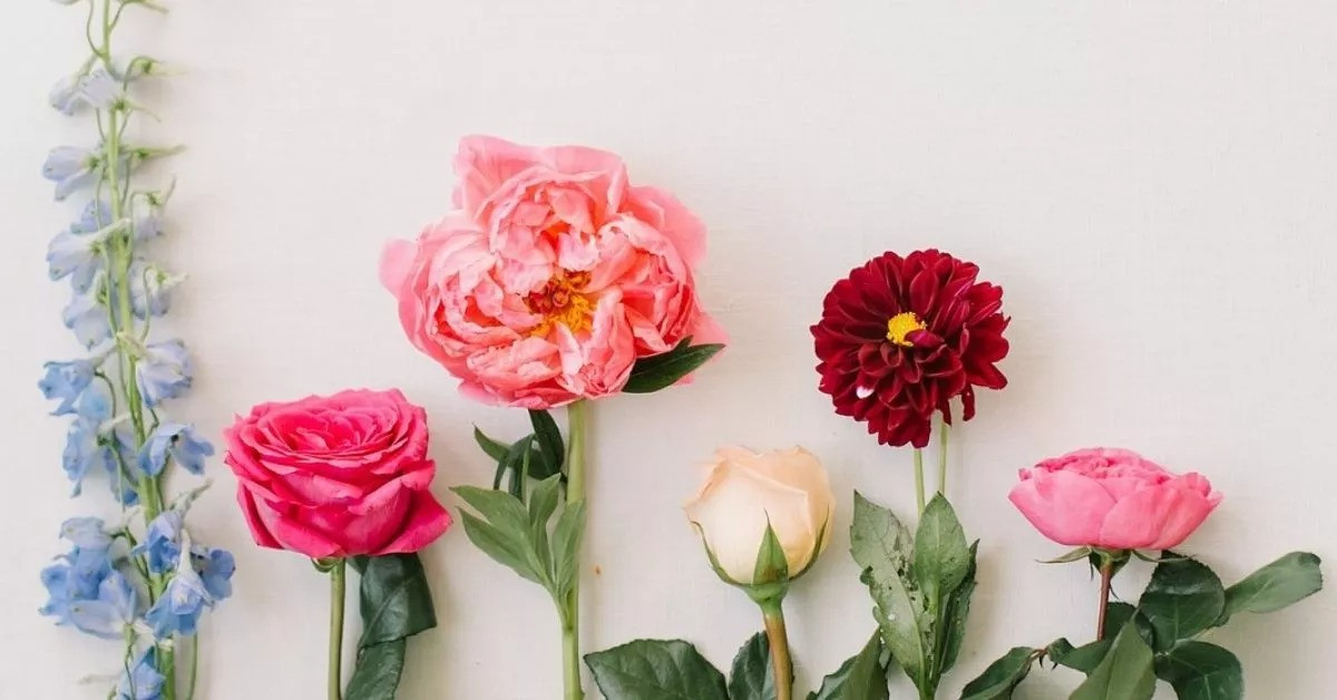 Sinh 5 ngày Âm này, nghị lực hơn người, kiếm tiền tỷ từ con số 0 Sinh 5 ngay Am nay, nghi luc hon nguoi, kiem tien ty tu con so 0