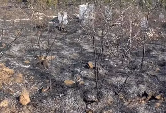 Bon dieu kieng ky khi di tao mo trong le Thanh minh-Hinh-4