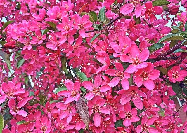 Sinh ngay Am lich nay no luc het minh, su nghiep som thanh cong-Hinh-2