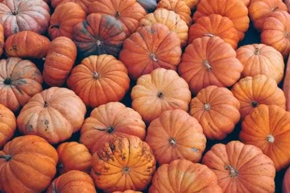 Giat minh 3 loai rau duoc menh danh la 