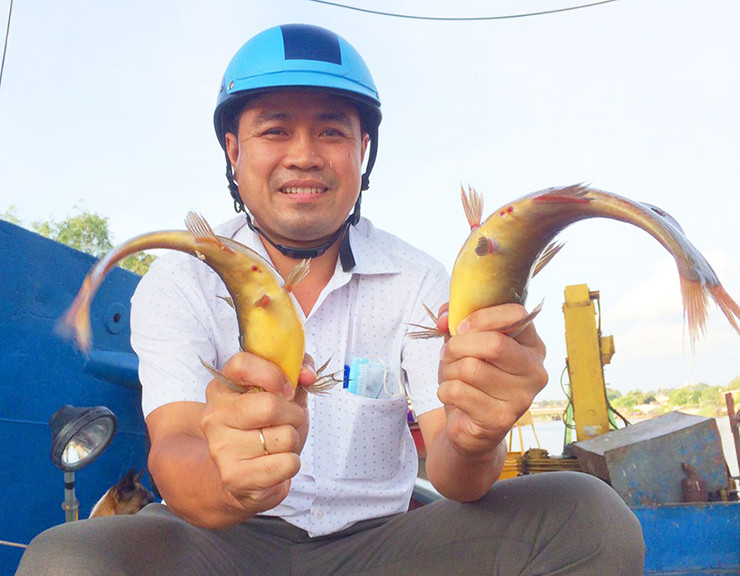 Cá chốt chuột kích thước khá nhỏ, tầm 30-40 con/kg. Nhưng thi thoảng có những con đặc biệt lớn có thể đạt khoảng 200gr-500gr/con.