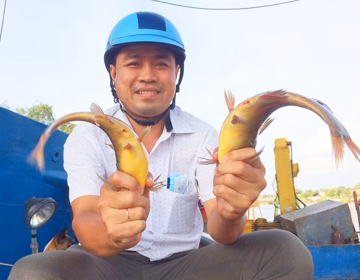 Cá chốt chuột kích thước khá nhỏ, tầm 30-40 con/kg. Nhưng thi thoảng có những con đặc biệt lớn có thể đạt khoảng 200gr-500gr/con.